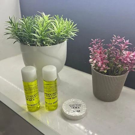 公寓 Irma Sweet 塞拉耶佛