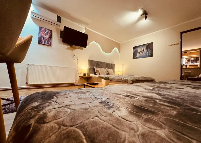 Irma Sweet 公寓 塞拉耶佛